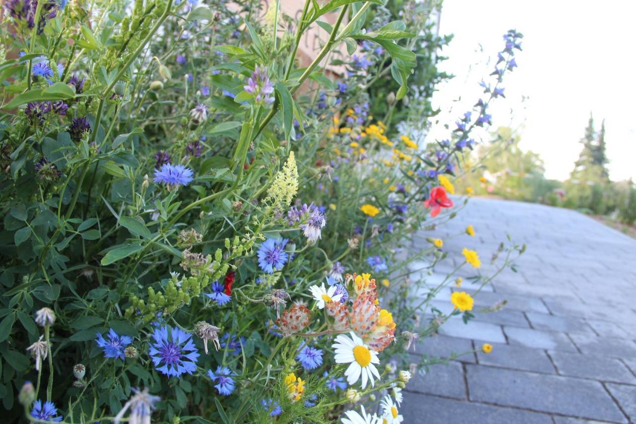 Ferienwohnungen "Blumenwiese" Dillingen an der Donau Exterior photo