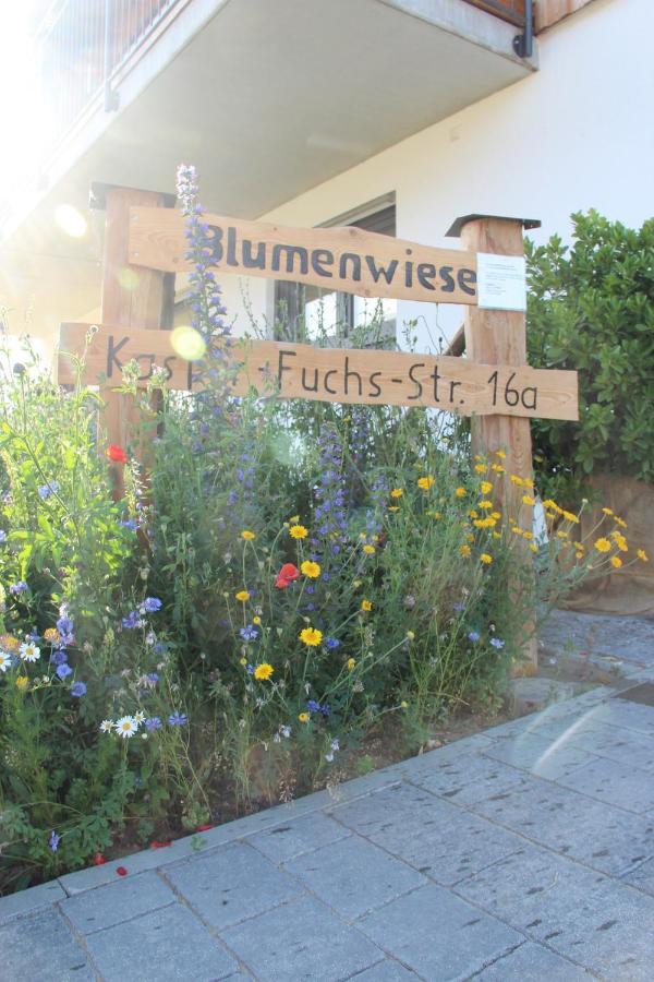 Ferienwohnungen "Blumenwiese" Dillingen an der Donau Exterior photo